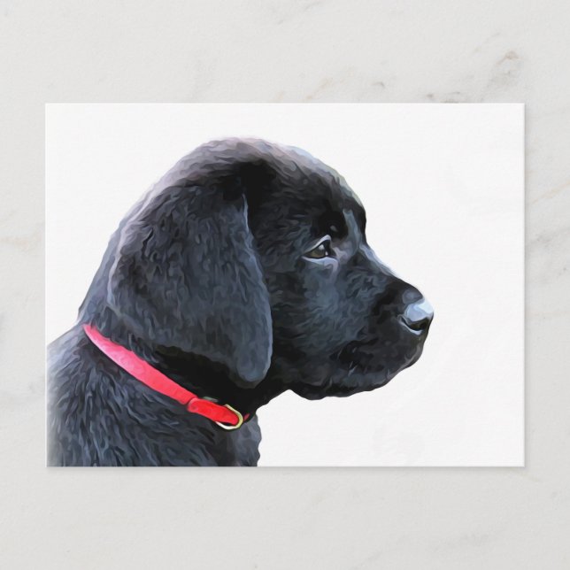 Carte Postale Chiot mignon de Labrador noir - Labrador noir (Devant)