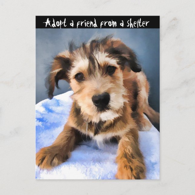Carte Postale Chiot pelucheux 3855 (Devant)
