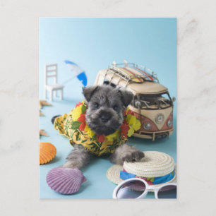 Carte Postale Chiot Schnauzer miniature et vacances d'été