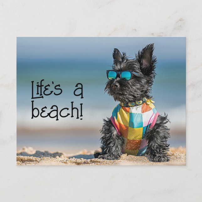 Carte Postale Chiot Scottish Terrier portant des lunettes de sol (Devant)