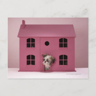 Carte Postale Chiot sortant de la maison de poupée