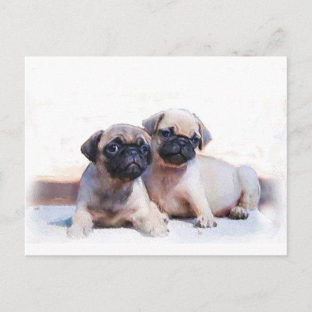 Carte Postale Chiots carlins (Devant)