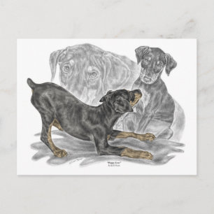Carte Postale Chiots Doberman Pinscher