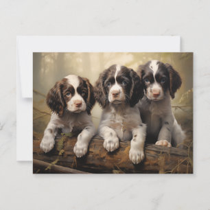 Carte Postale Chiots espagnols anglais