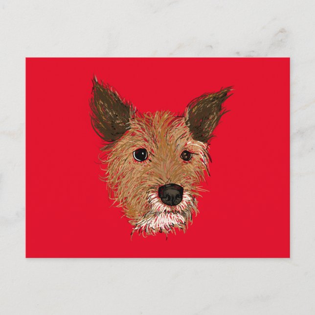 Carte Postale chiots lavants (Devant)