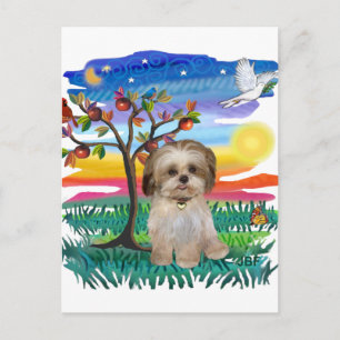 Carte Postale Chiots Shih Tzu #2