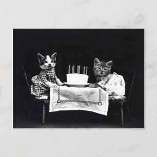 Carte postale Chiots vintages et chatons