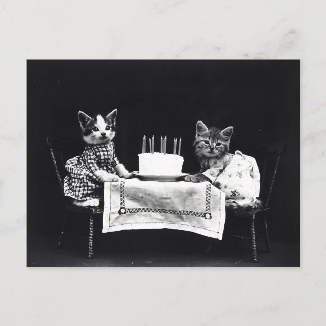 Carte postale Chiots vintages et chatons (Devant)