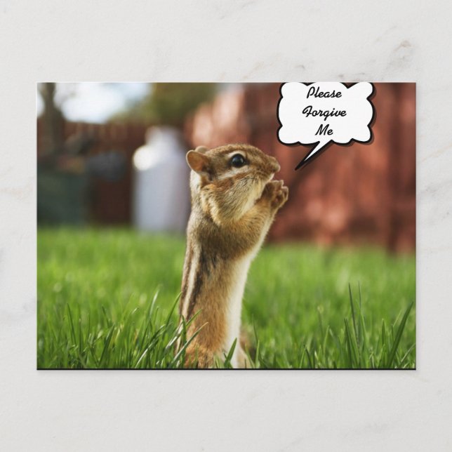 Carte Postale Chipmun prie S'Il Vous Plaît Pardonnez-Moi (Devant)