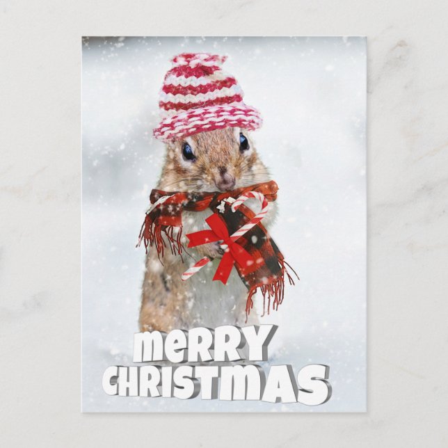 Carte Postale Chipmunk de Noël (Devant)