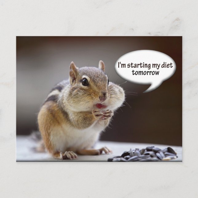 Carte Postale Chipmunk sur une photo de la diète (Devant)