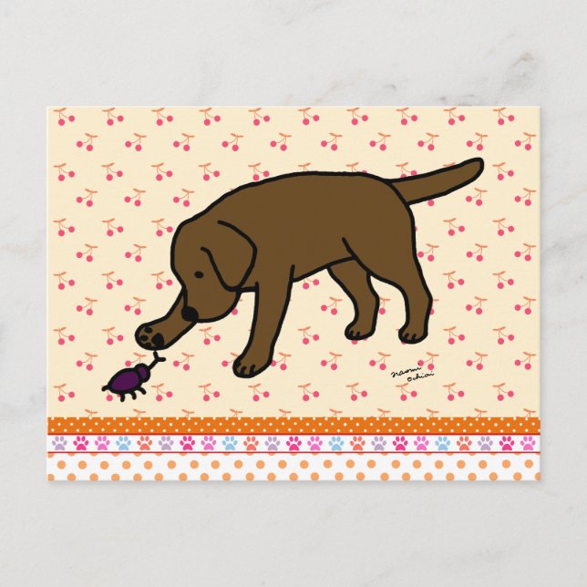 Carte Postale Chocolat Labrador Friendly (Devant)