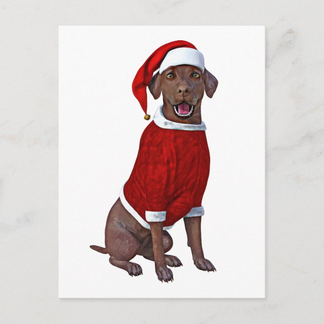Carte Postale Chocolat Labrador Temps de Noël (Devant)