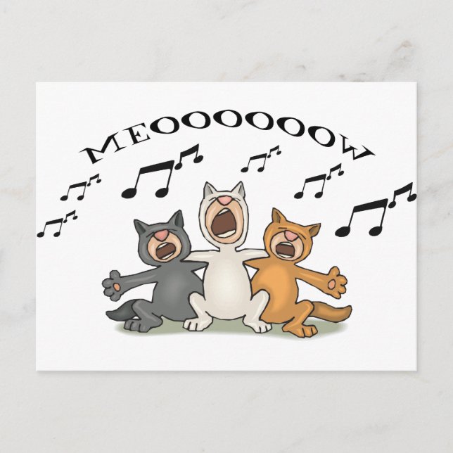 Carte Postale Choeur de chat (Devant)