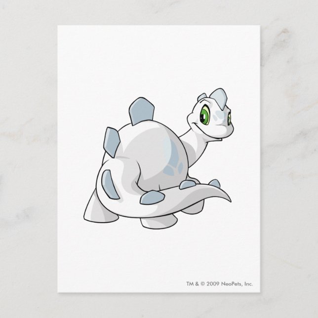 Carte Postale Chomby White (Devant)