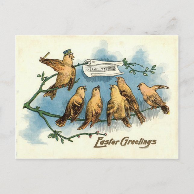 Carte Postale Chorale Songbird Sky Chant Song Tree (Devant)