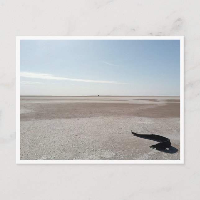 Carte Postale Chott el Djerid (Tunisie) (Devant)