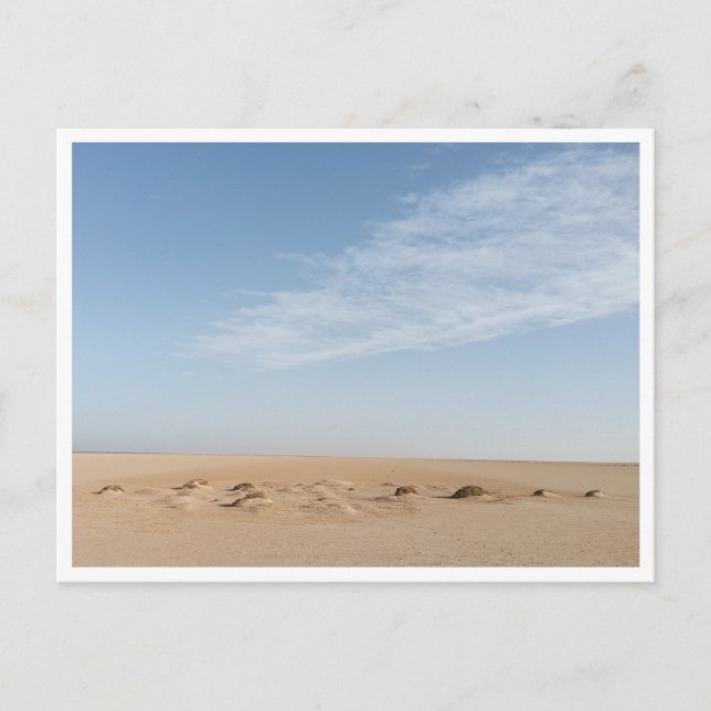 Carte Postale Chott el Djerid (Tunisie) (Devant)