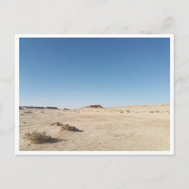 Carte Postale Chott el Gharsa (Tunisie) (Devant)