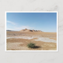 Chott el Gharsa (Tunisie)