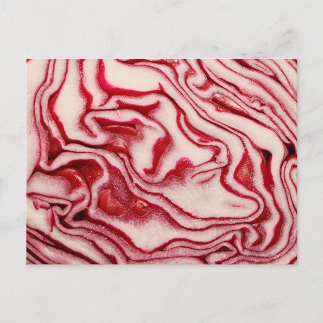 Carte Postale Chou rouge (Devant)