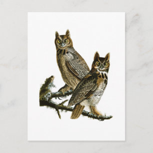 Carte Postale Chouette à cornes John Audubon Oiseaux d'Amérique