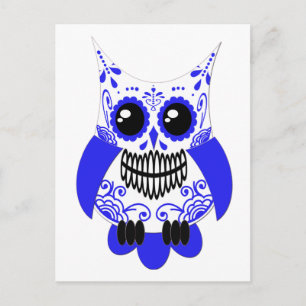 Carte postale Chouette à sucre bleu blanc