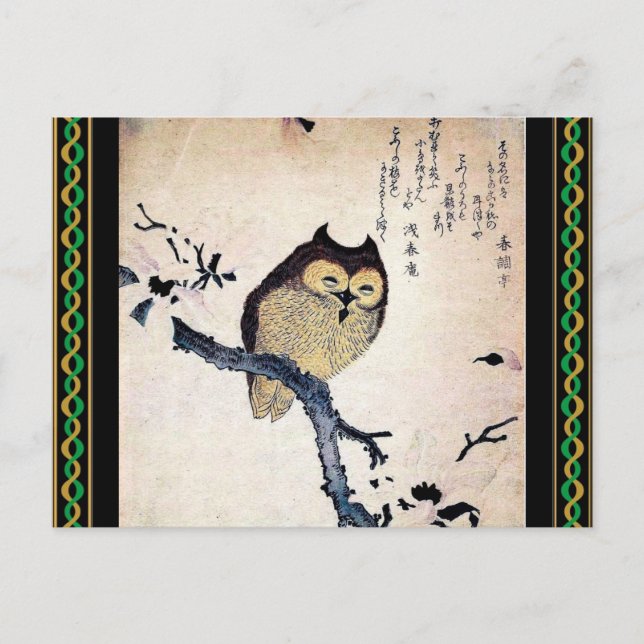 Carte postale Chouette asiatique (Devant)