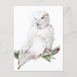 Carte Postale Chouette blanche arctique