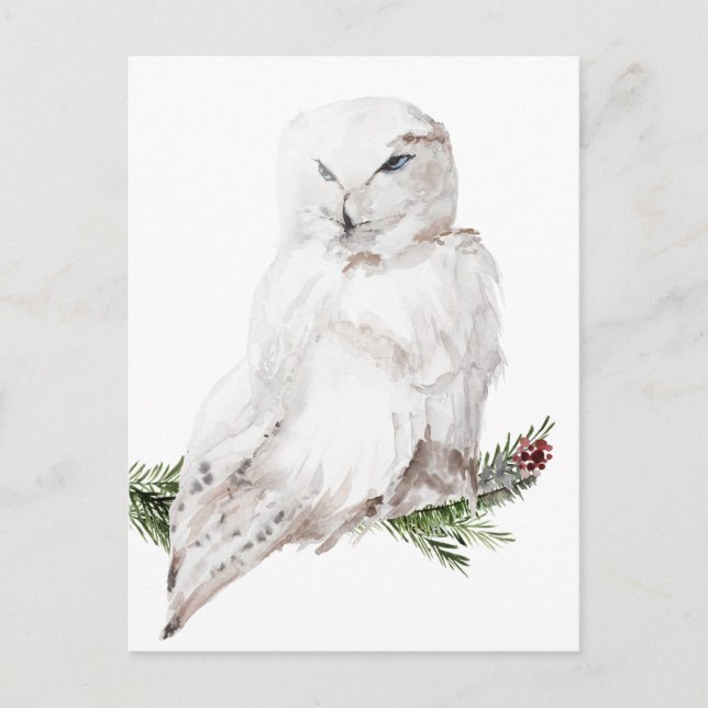 Carte Postale Chouette blanche arctique (Devant)