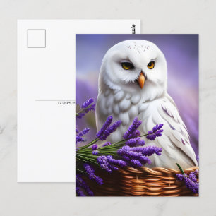 Carte Postale Chouette blanche en Lavande, poste
