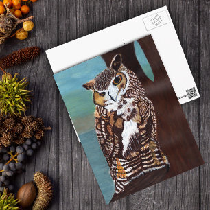Carte postale Chouette Brown et blanche
