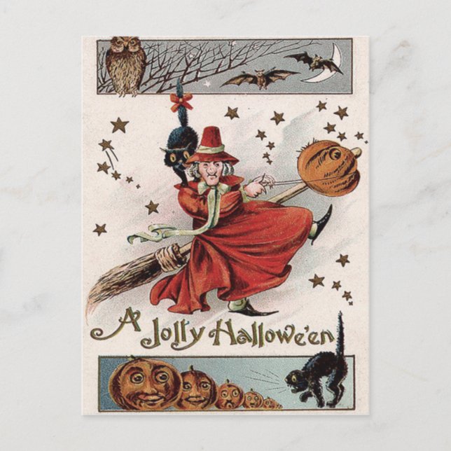 Carte Postale Chouette Chat Chat Noir de Jack-o'-lantern (Devant)