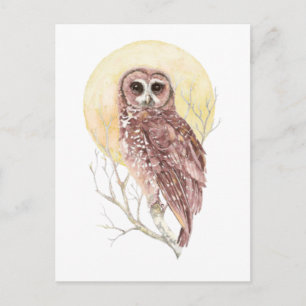 Carte Postale Chouette dans l'arbre avec lune Aquarelle Oiseau, 