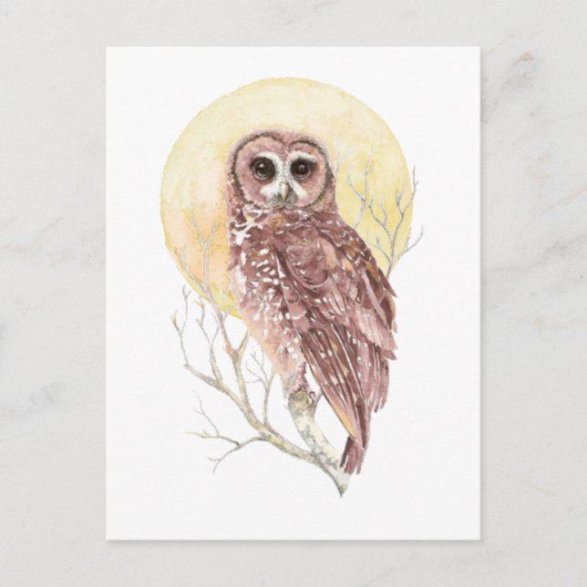 Carte Postale Chouette dans l'arbre avec lune Aquarelle Oiseau,  (Devant)