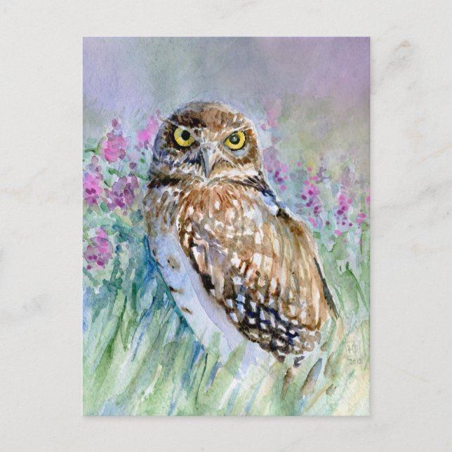 Carte Postale Chouette de bractage de l'aquarelle (Devant)