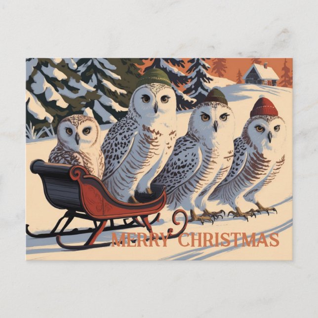 Carte Postale Chouette des neiges Joyeux Noël (Devant)