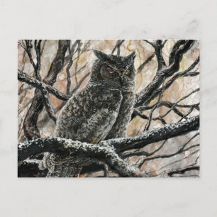 Carte Postale Chouette d'hiver