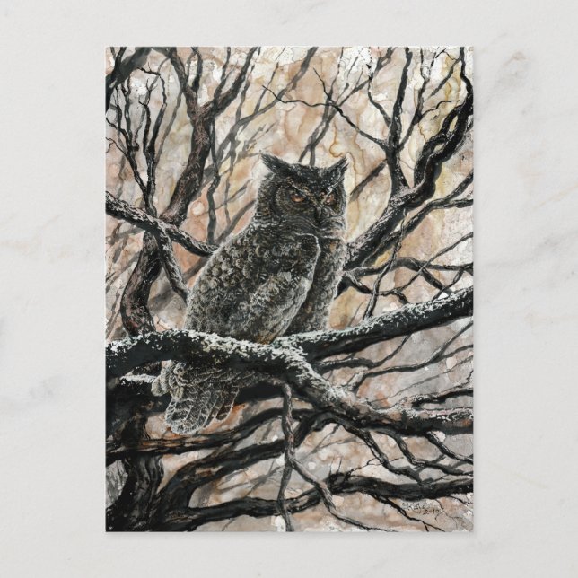 Carte Postale Chouette d'hiver (Devant)