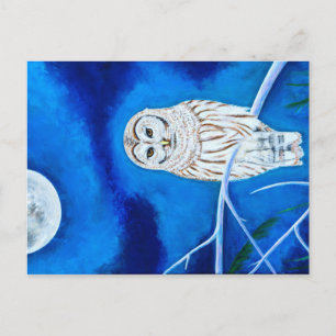 Carte Postale Chouette lune