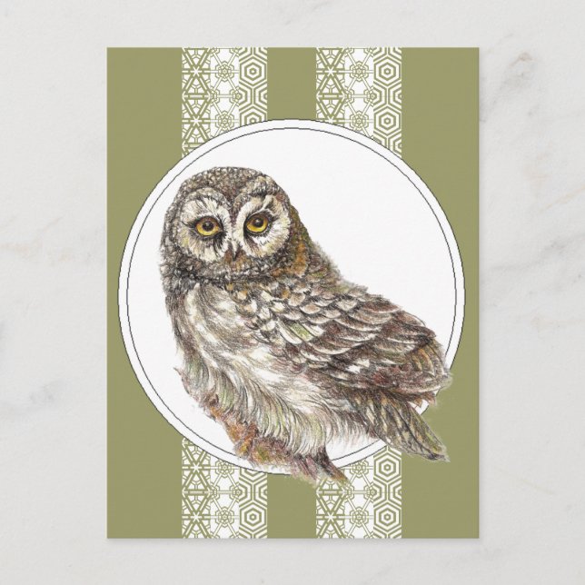 Carte Postale Chouette mignonne - Aquarelle Oiseau, Faune, Natur (Devant)