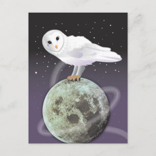 Carte Postale Chouette neigeuse au clair de lune