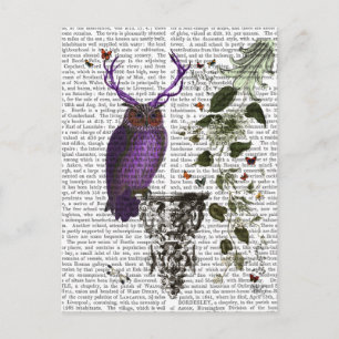 Carte Postale Chouette pourpre avec Antlers 2