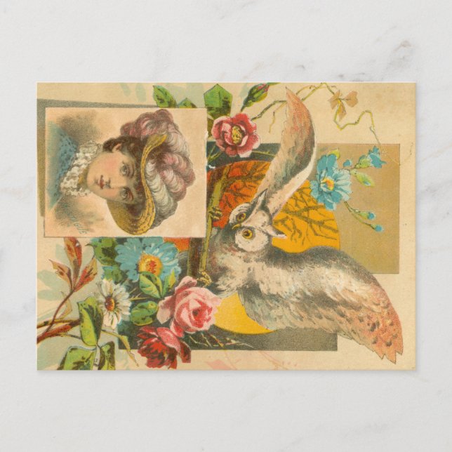 Carte Postale Chouette victorienne (Devant)