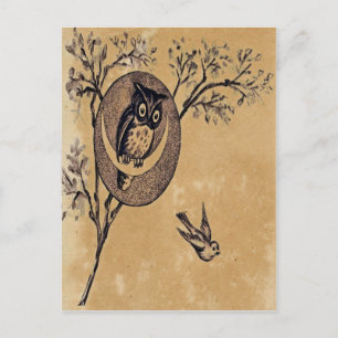 Carte postale Chouette vintage