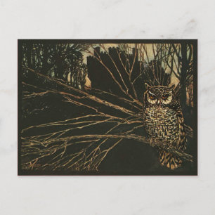 Carte Postale Chouette vintage dans les bois