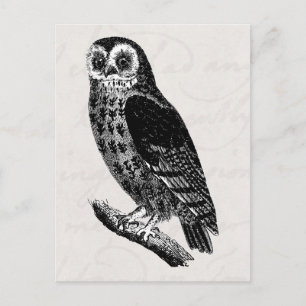 Carte Postale Chouette vintage Dessin Oiseaux rétro Chouettes