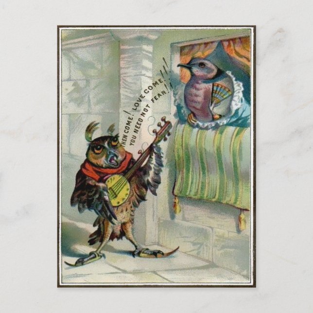 Carte Postale Chouette vintage Valentine (Devant)