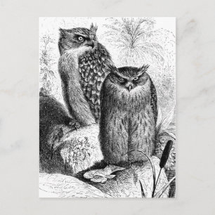 Carte Postale Chouettes de pêche indiennes Gravure de bois Vinta