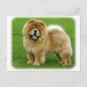Carte Postale Chow Chow 9B008D-06